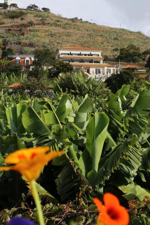 Vila Marta Aparthotel Funchal  Esterno foto